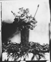 Image of [Arctic flowers in a vase]