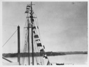 Image of [Mast dressed with flags]