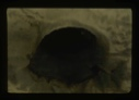 Image of unidentified, seal breathing hole?