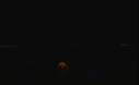 Image of Polar bear at night.