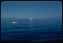 Image of Icebergs in mist