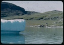 Image of Iceberg. Frame house by shore