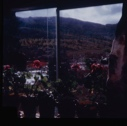 Image of Looking out Kate Hettasch's window