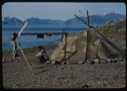 Image of Eskimo [Inuk] man by sealskin tent