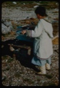 Image of Eskimo [Inuk] woman drying sinew