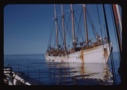Image of Four-masted Portuguese fishing vessel