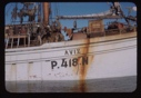 Image of Portuguese fishing vessel AVIZ-P418N