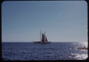 Image of Bowdoin under sail