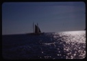 Image of Bowdoin under sail; sunlight on water