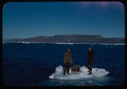 Image of Albert Barnes and Paul Eitel on ice pan with walrus