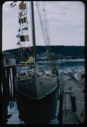 Image of Bowdoin tied up and dressed; Rutherford Platt on dock