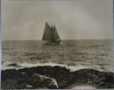 Image of The Bowdoin Under Sail - view from the shore