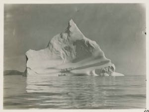 Cover image for Icebergs