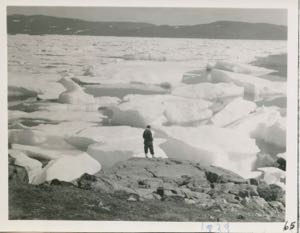 Cover image for 1939 Expedition (Labrador, Baffin Island, Greenland)