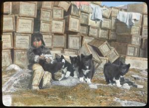 Thumbnail image of Dogs at Work in the North